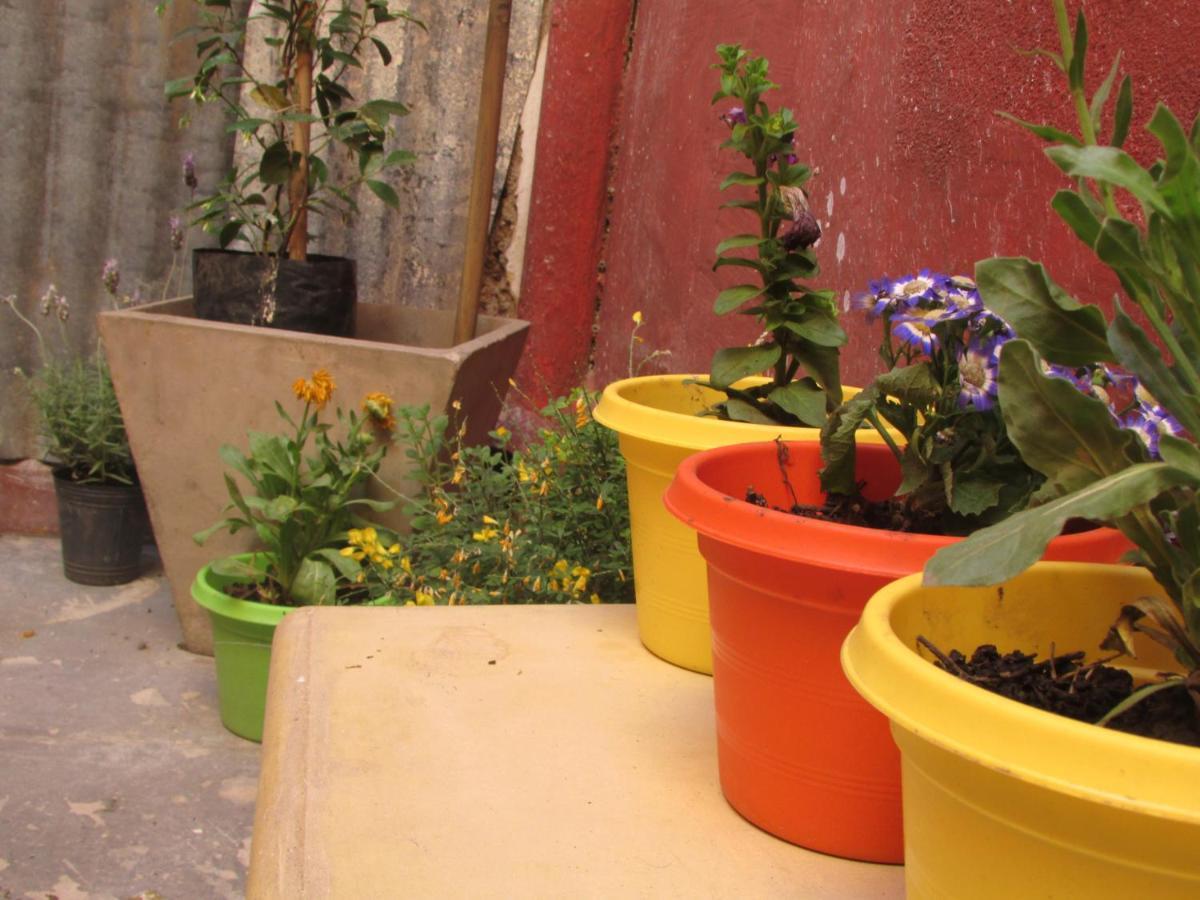 Casa Artigas Hostel Córdoba Exteriör bild